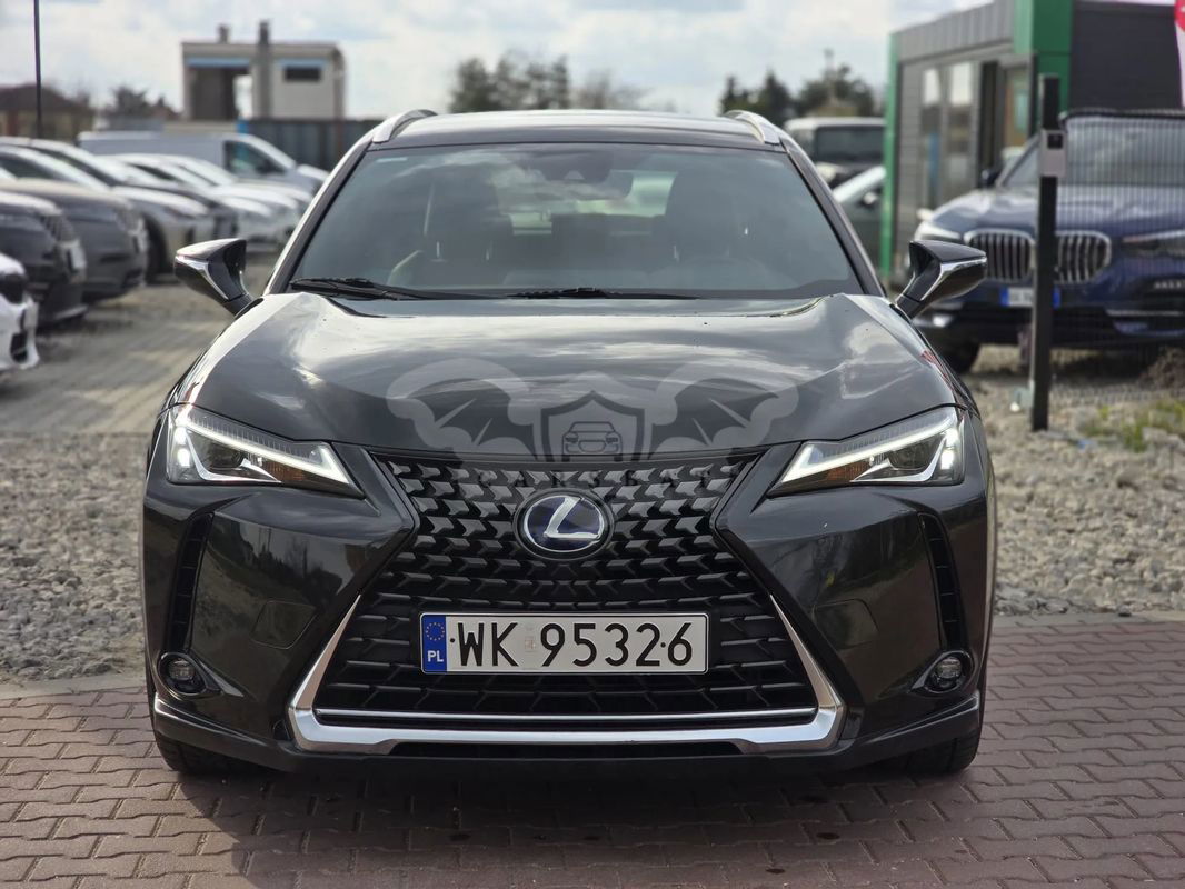 Lexus UX 250h Business Edition 2020