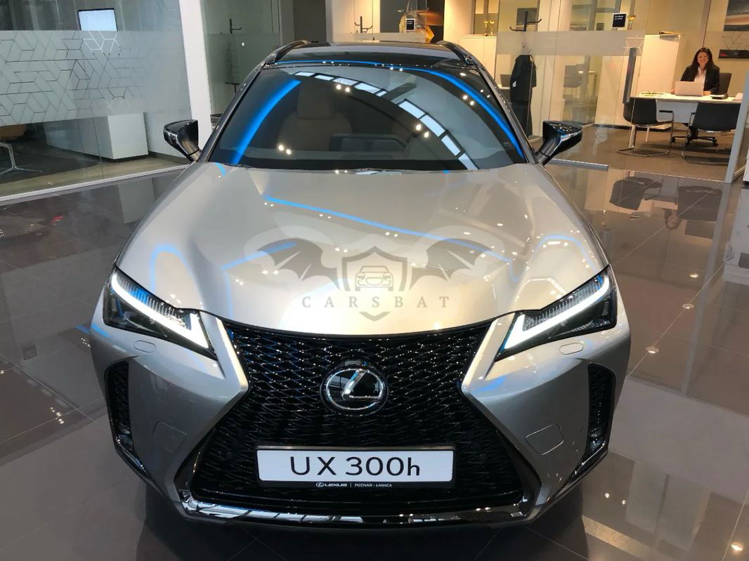 Lexus UX 300h F Sport Design AWD 2024