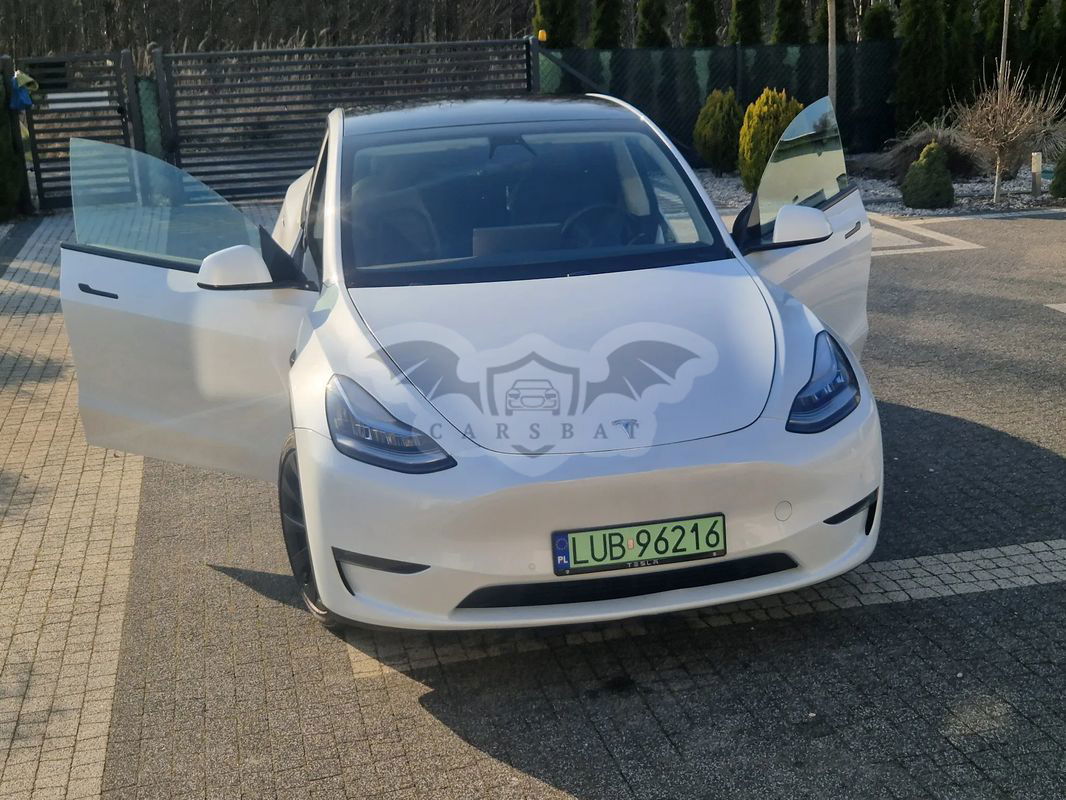 Tesla Model Y Model Long Range Dual Motor AWD 2020