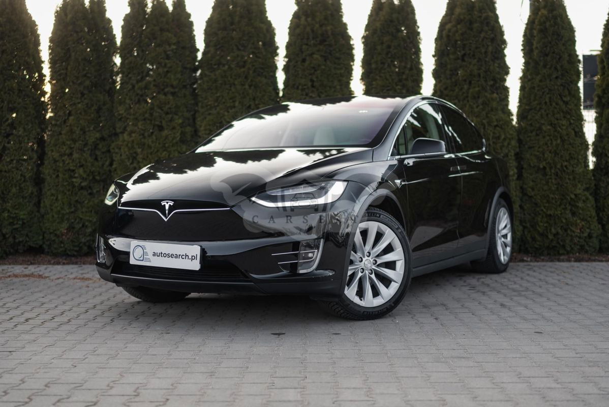 Tesla Model X 2019