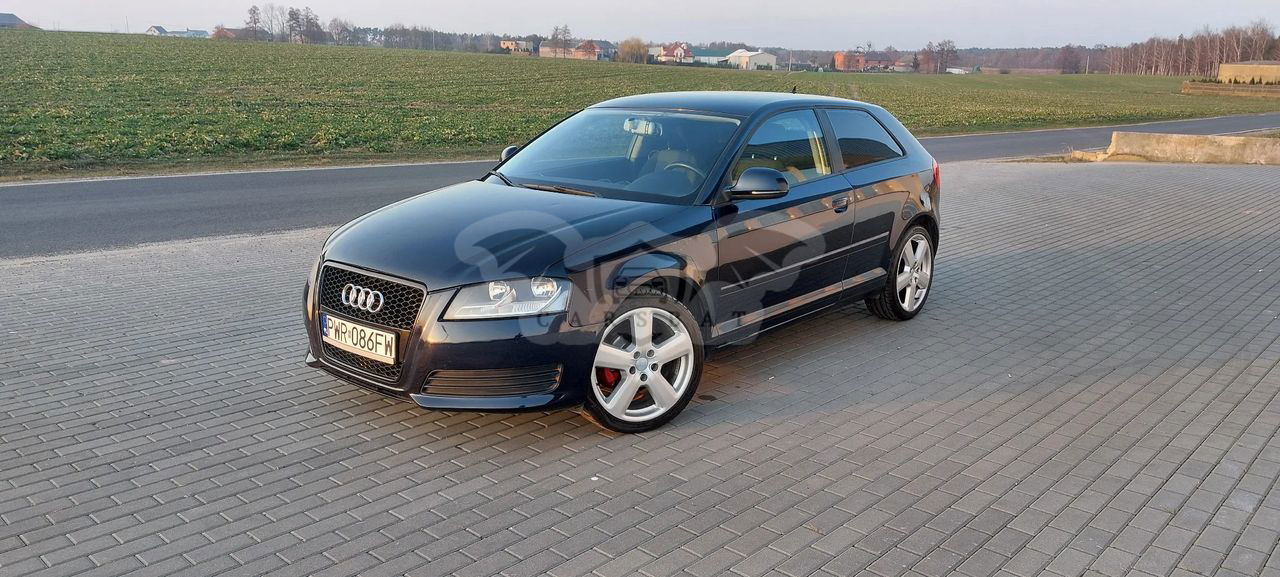 Audi A3 8P 2009
