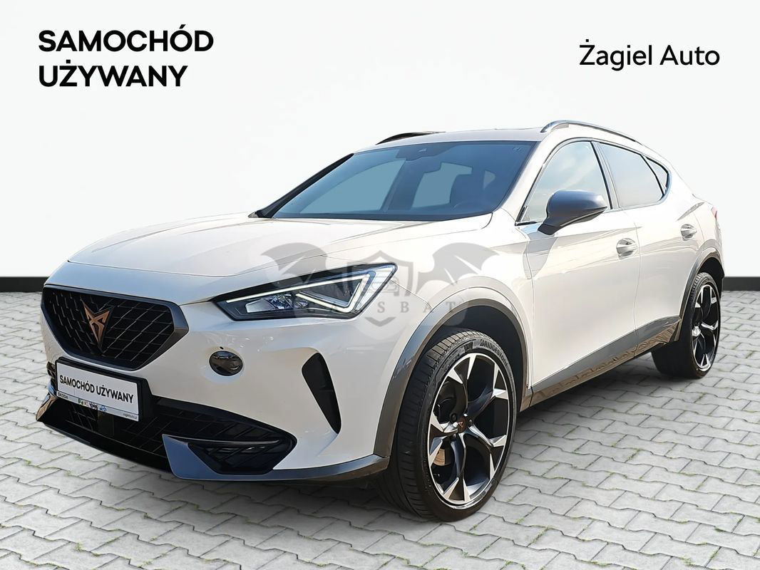Cupra Formentor 2.0 TSI 4Drive DSG 2023