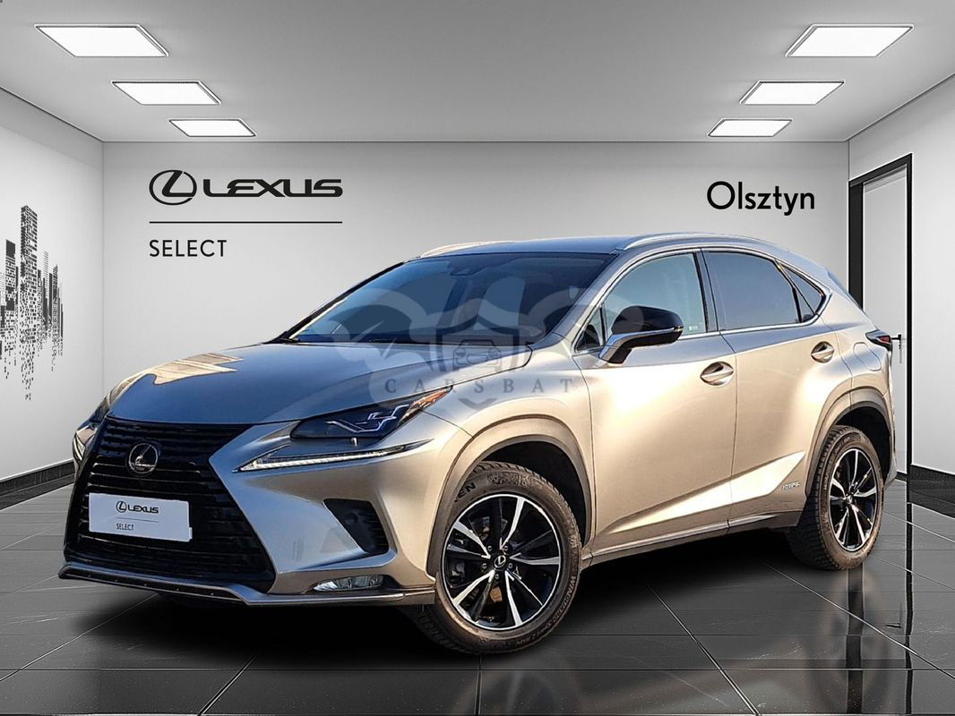 Lexus NX I 2020