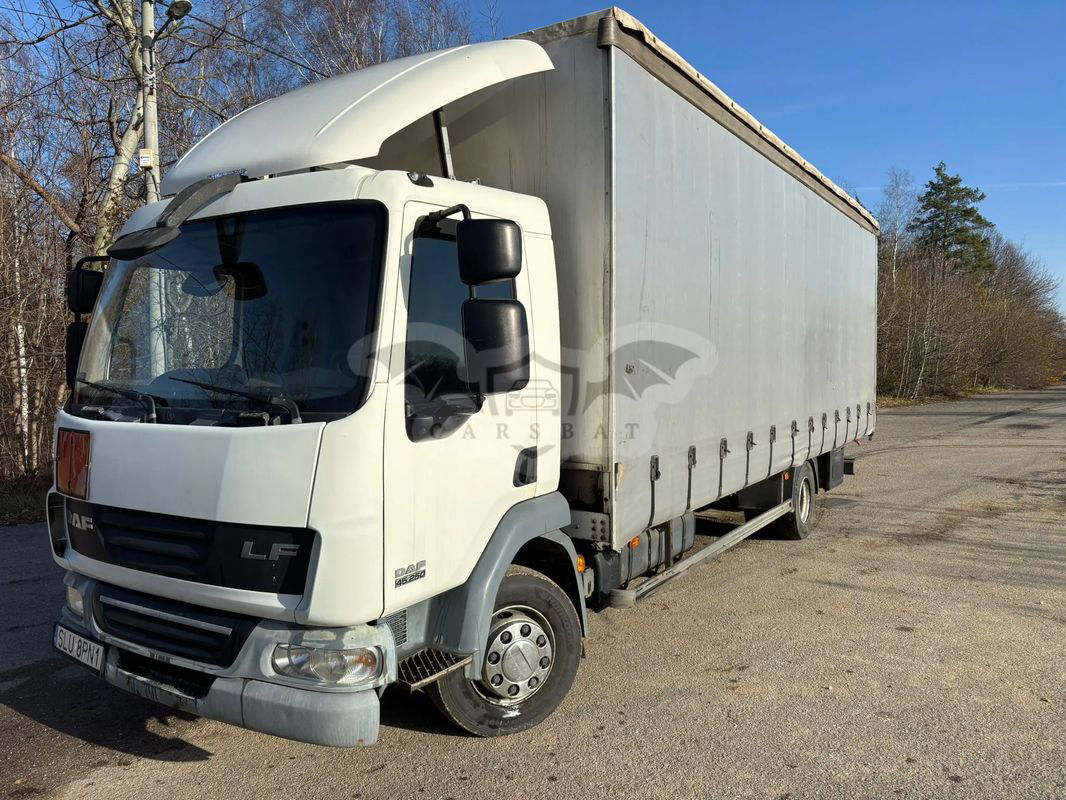 DAF LF 2010