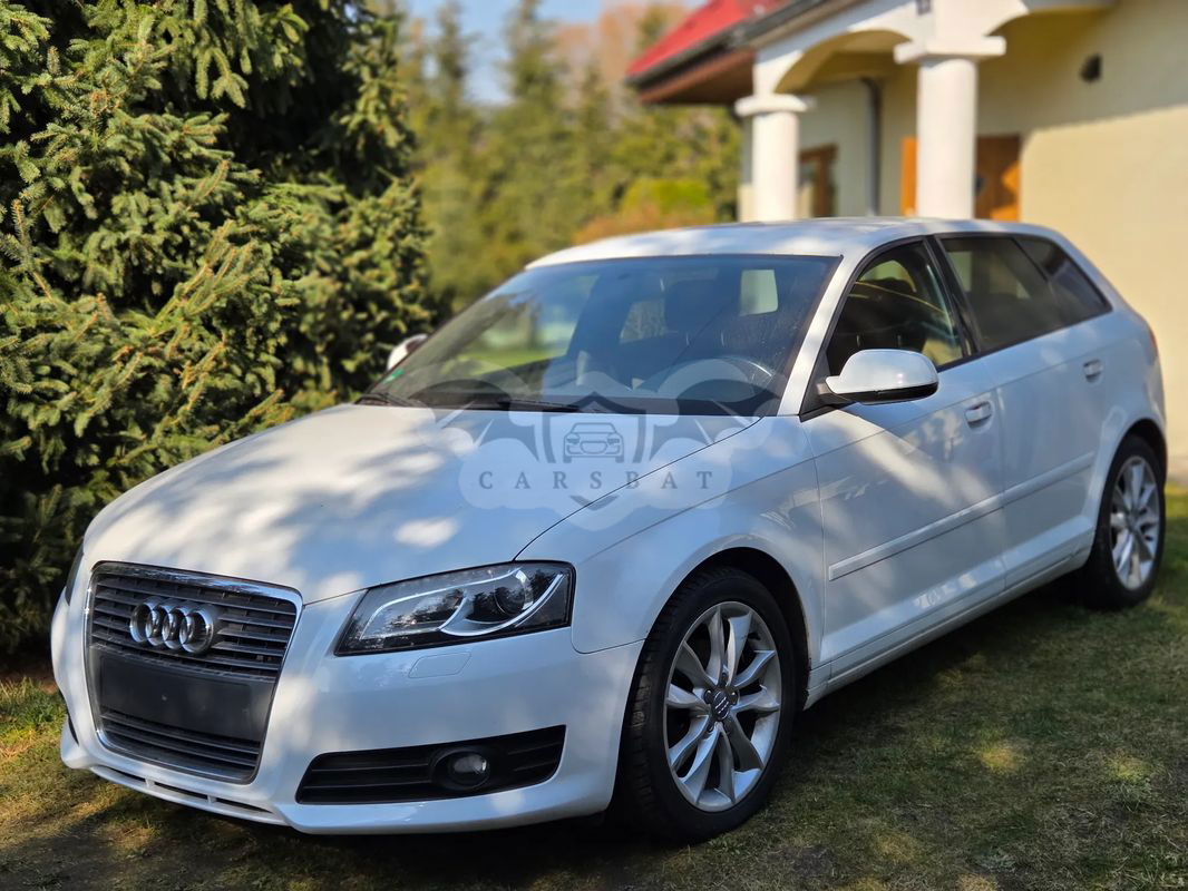 Audi A3 8P 2.0 TDI DPF Ambition 2010