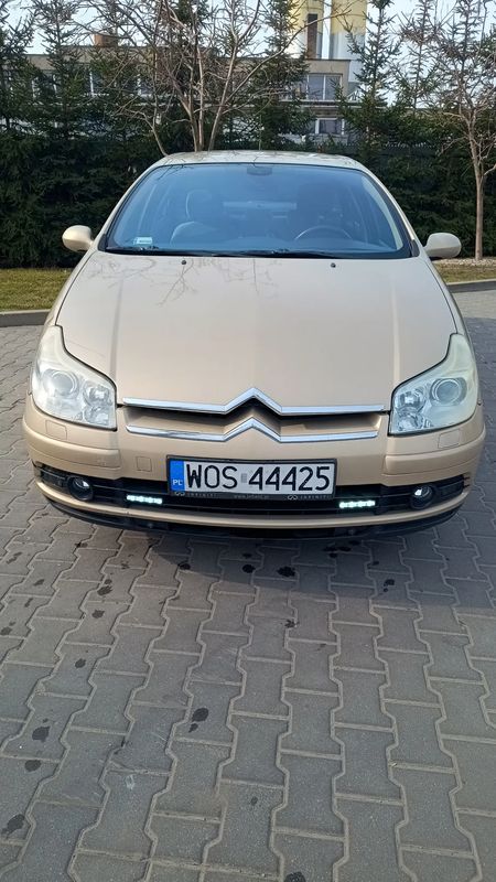 Citroën C5 II II 2.0 HDi SX 2004