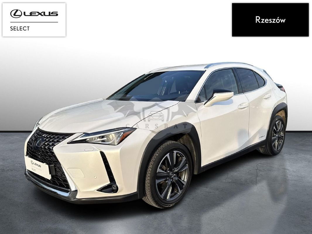 Lexus UX 2020