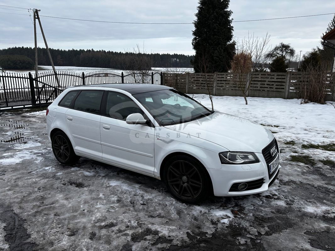 Audi A3 8P 2010