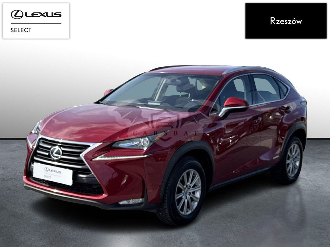 Lexus NX I 2016