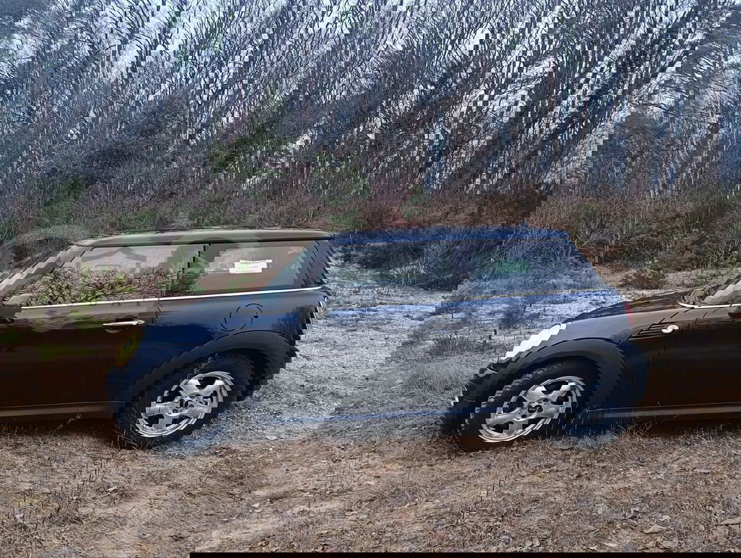 Mini One Standard 2009