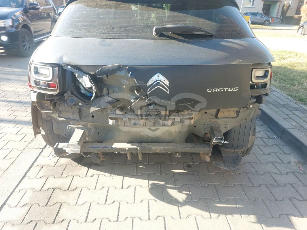 Citroën C4 Cactus 2015