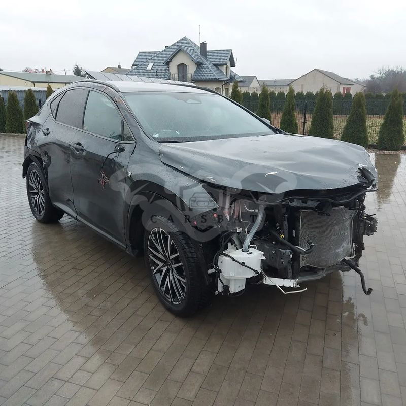 Lexus NX II 350h F Sport AWD 2024