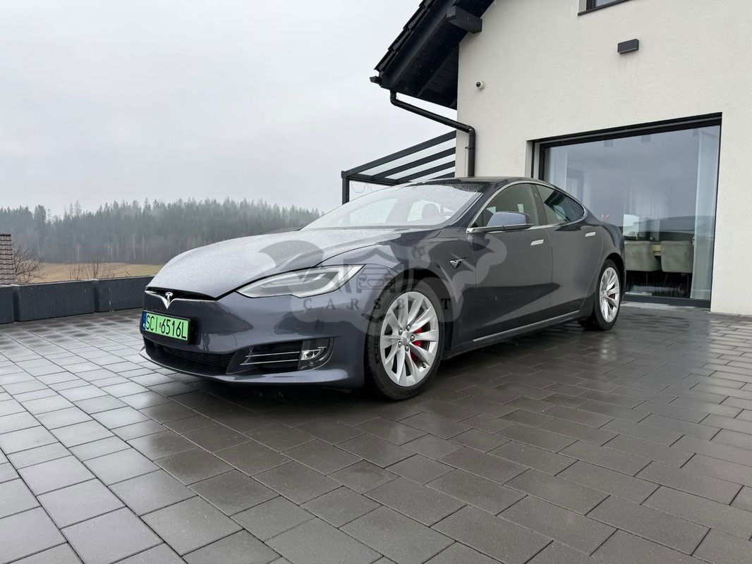 Tesla Model S Standard 2020
