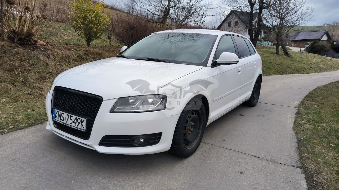 Audi A3 8P 2.0 TDI DPF Attraction 2009