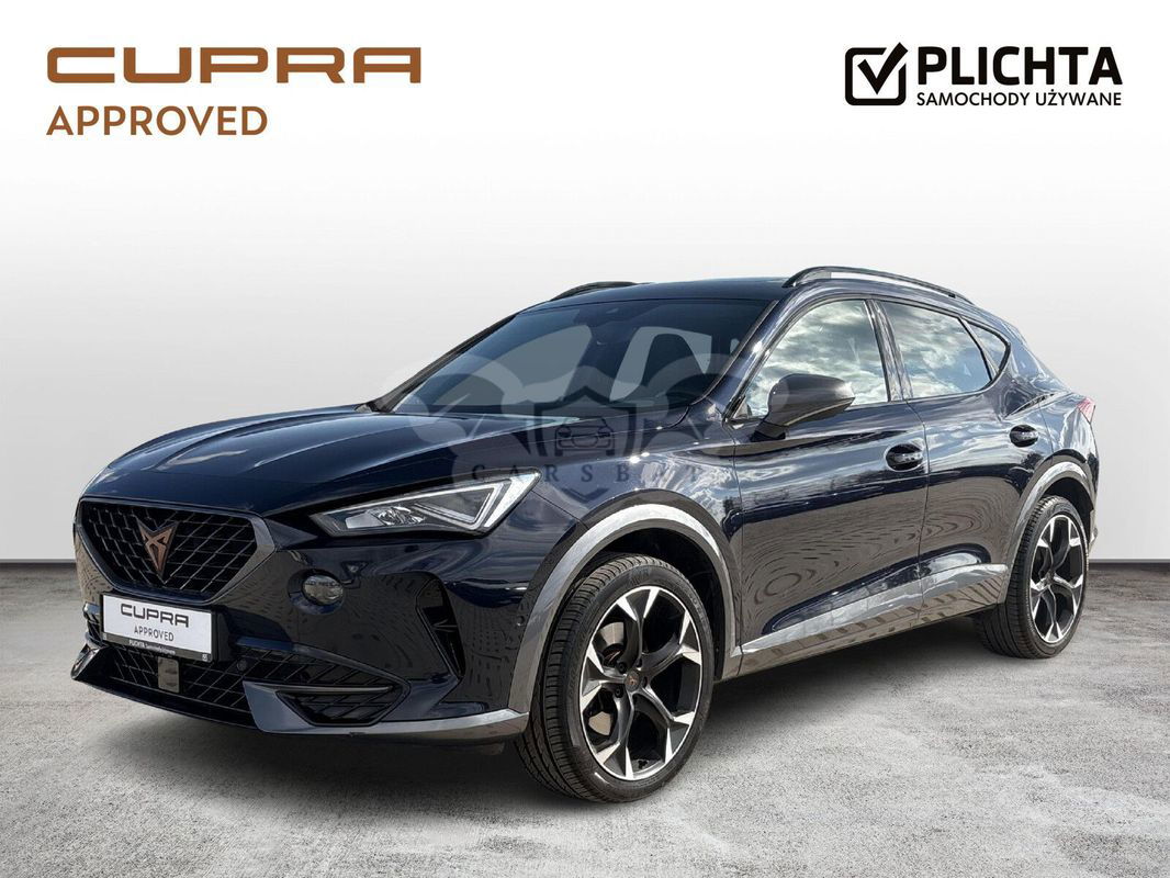 Cupra Formentor 2.0 TSI 4Drive DSG 2022