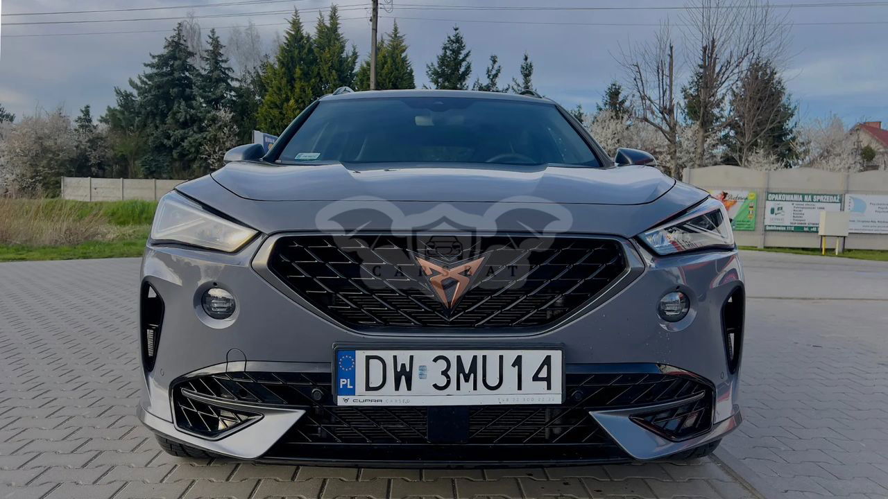 Cupra Formentor 2.0 TSI 4Drive VZ DSG 2020