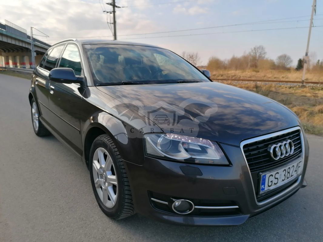 Audi A3 8P 1.6 TDI Sportback DPF S tronic S line Sportpaket 2010