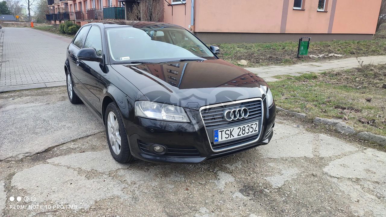 Audi A3 8P 1.6 Ambiente 2009