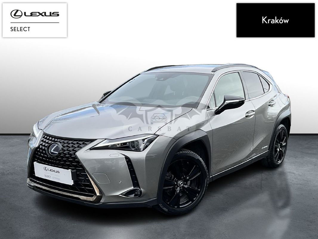 Lexus UX 2020