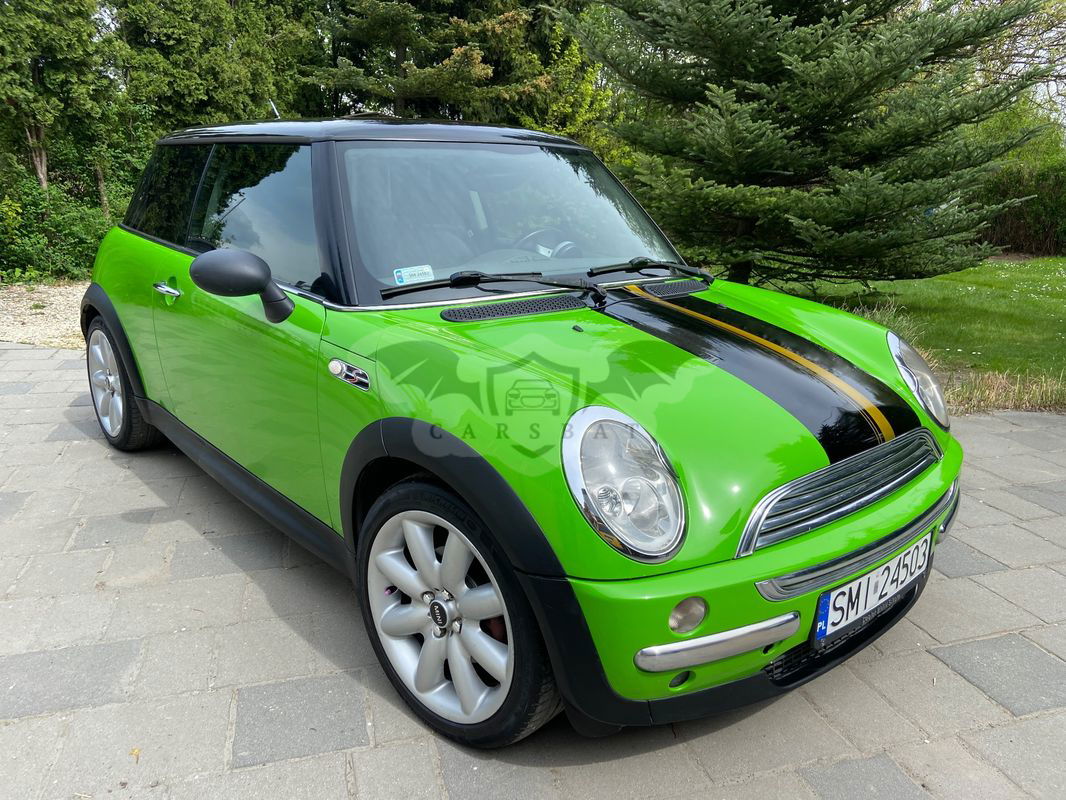 Mini One D salt 2003