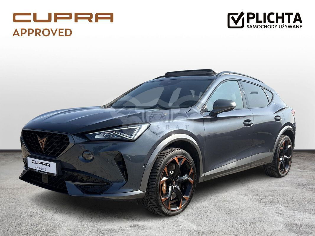 Cupra Formentor 2.0 TSI 4Drive VZ DSG 2020