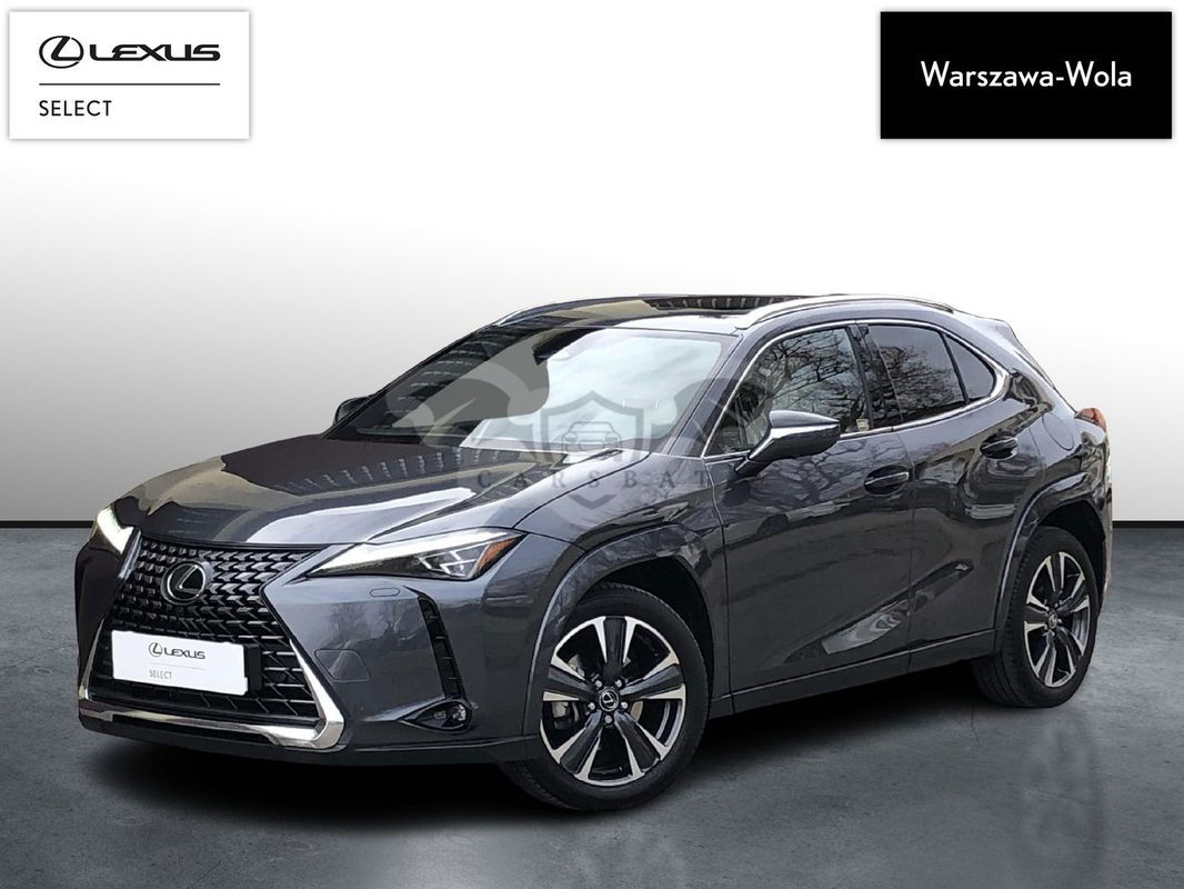 Lexus UX 2024