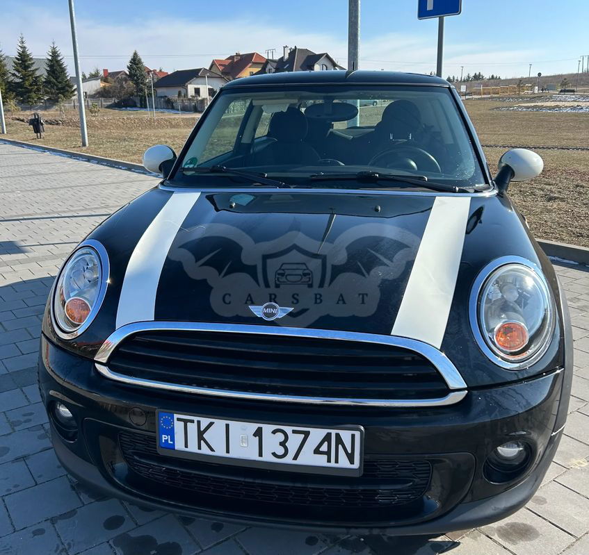 Mini One D 2010