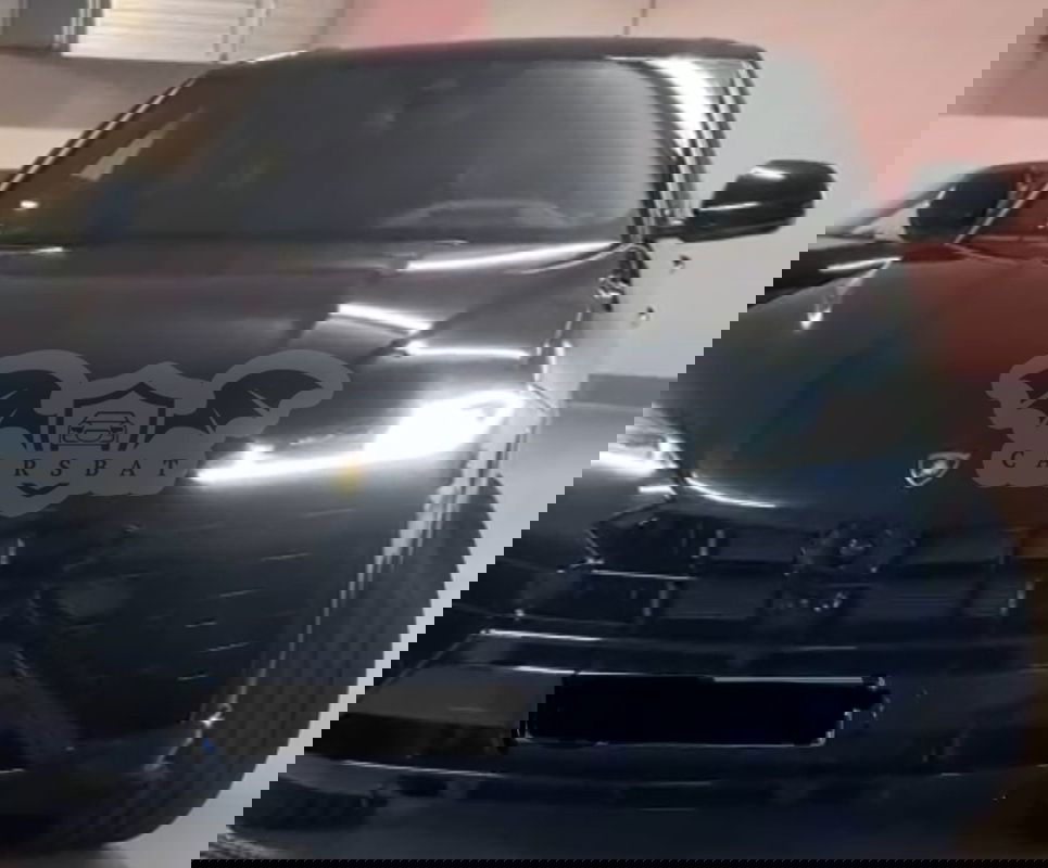 Lamborghini Urus Standard 2025