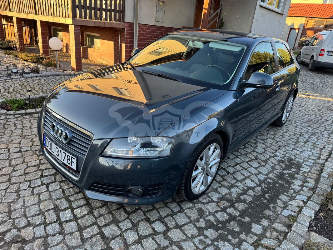 Audi A3 8P 2.0 TDI Ambition 2009