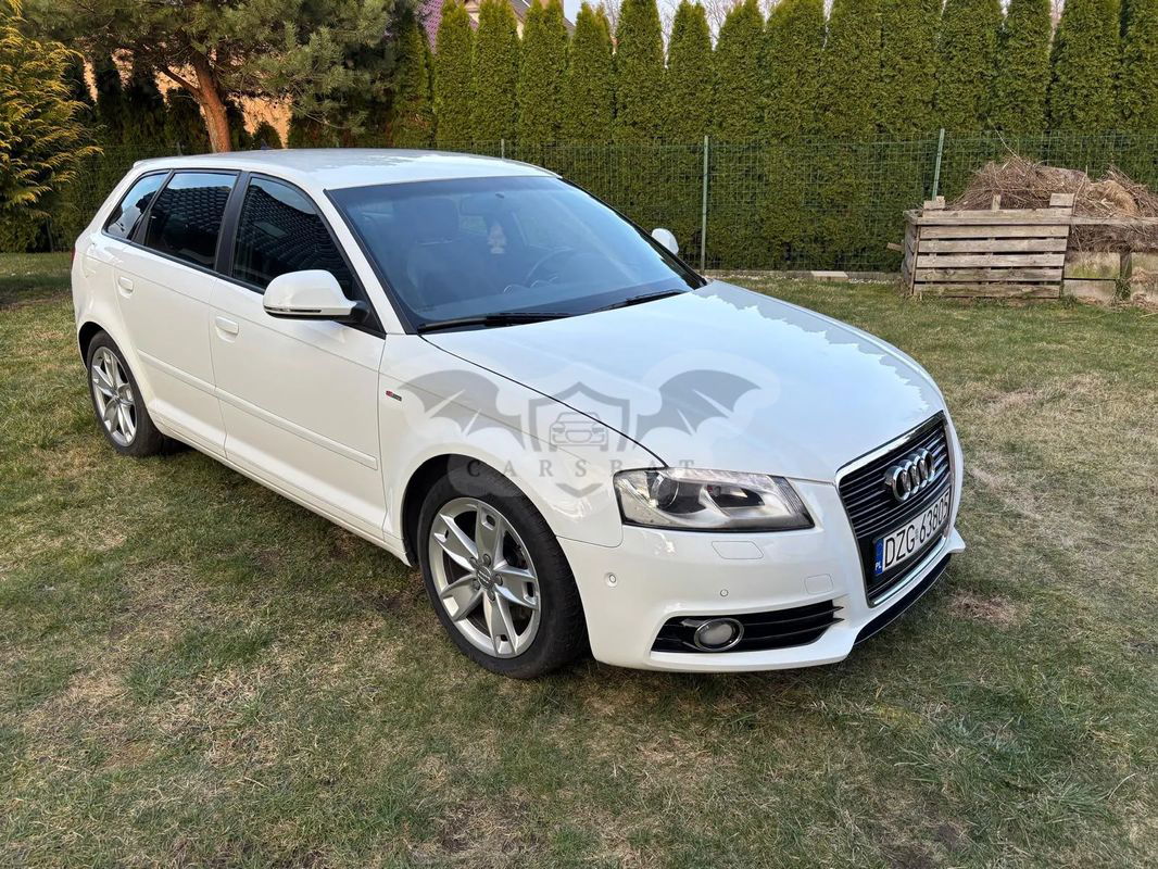 Audi A3 8P 2.0 TFSI Sportback S line Sportpaket (plus) 2009