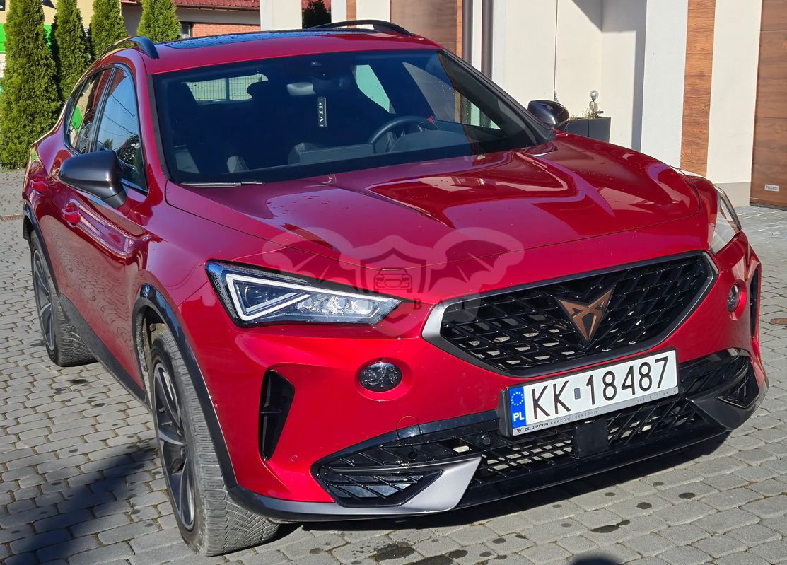 Cupra Formentor 2.0 TSI 4Drive DSG 2023