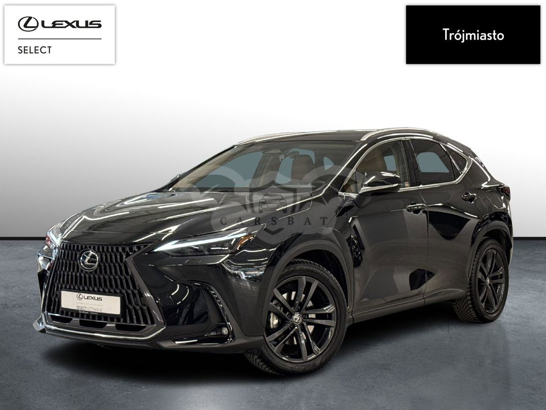 Lexus NX II 2024