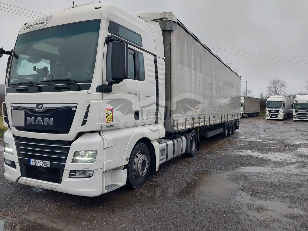 MAN TGX 2019