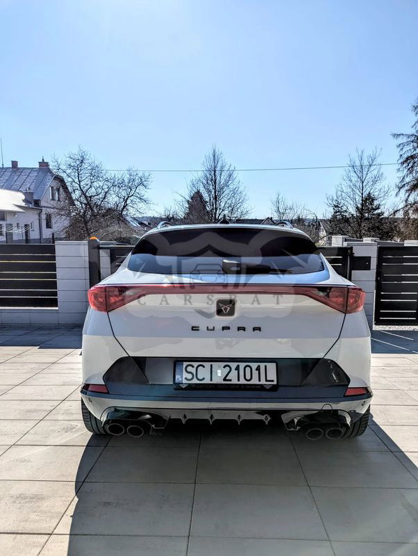 Cupra Formentor 2.0 TSI 4Drive VZ DSG 2020