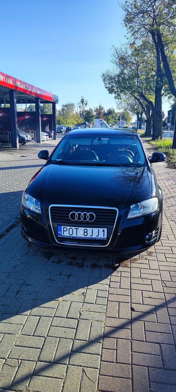 Audi A3 8P 1.6 TDI DPF Ambiente 2010