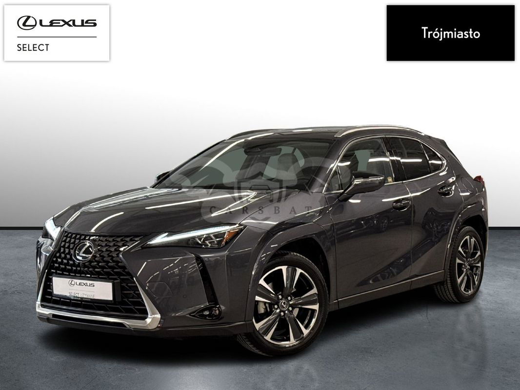 Lexus UX 2024