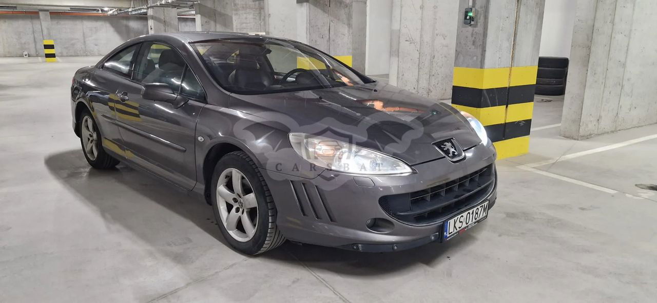Peugeot 407 2009