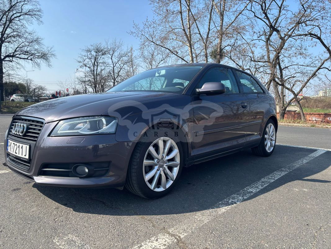 Audi A3 8P 2.0 TDI DPF Ambition 2010