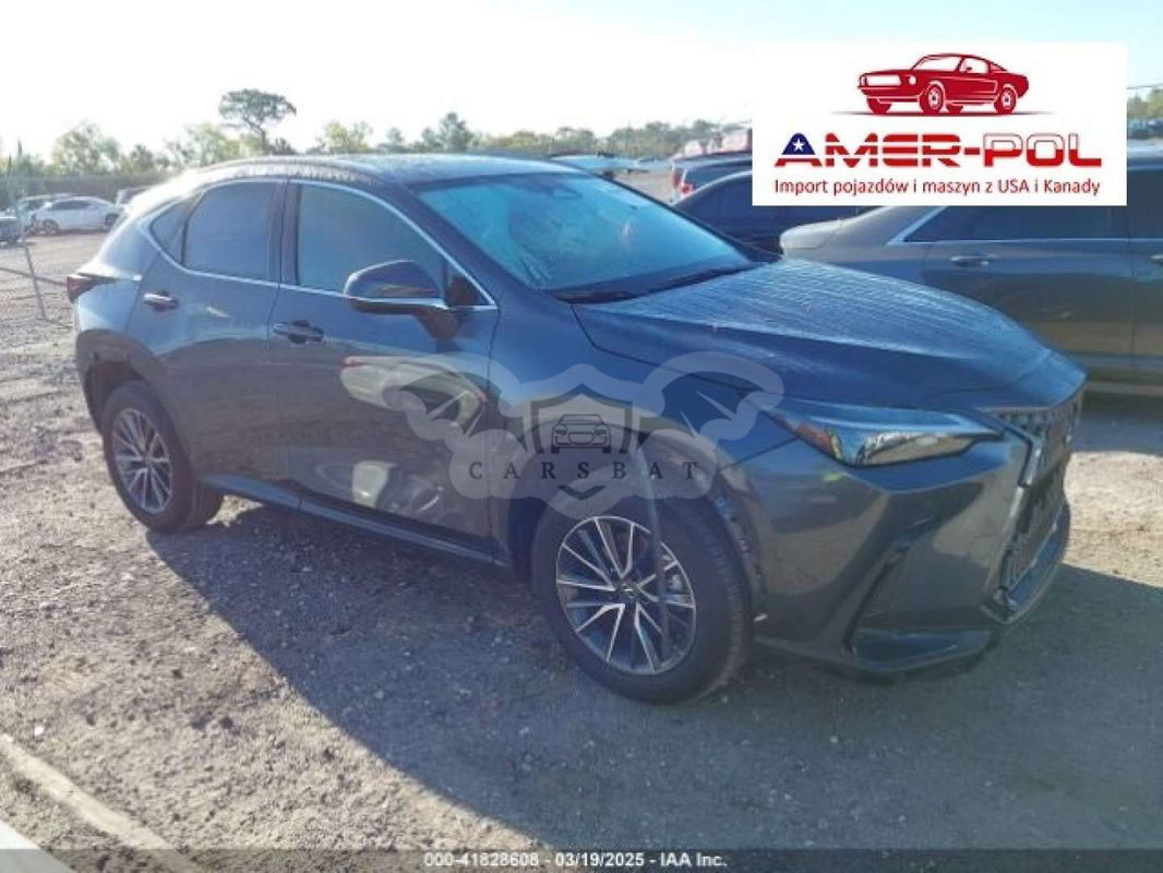 Lexus NX II 2024