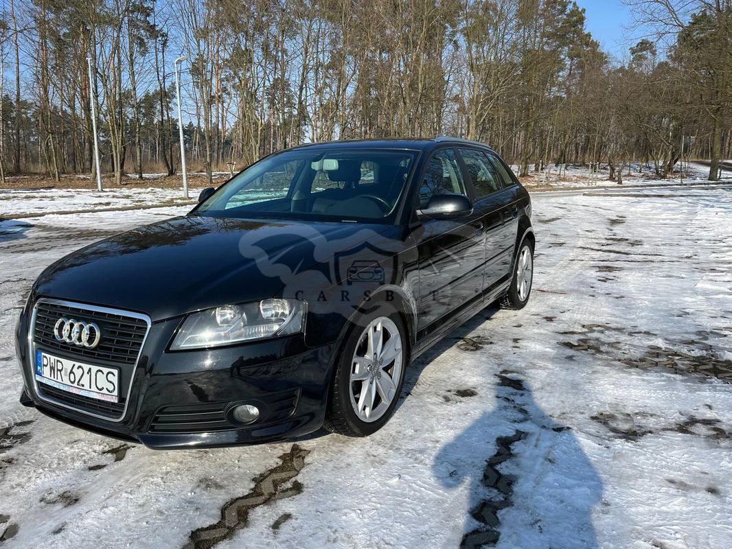Audi A3 8P 2010