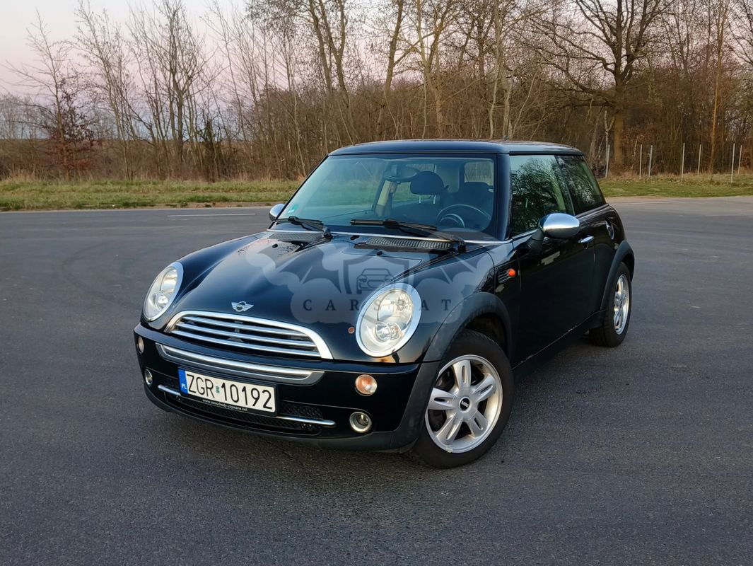 Mini One salt 2004