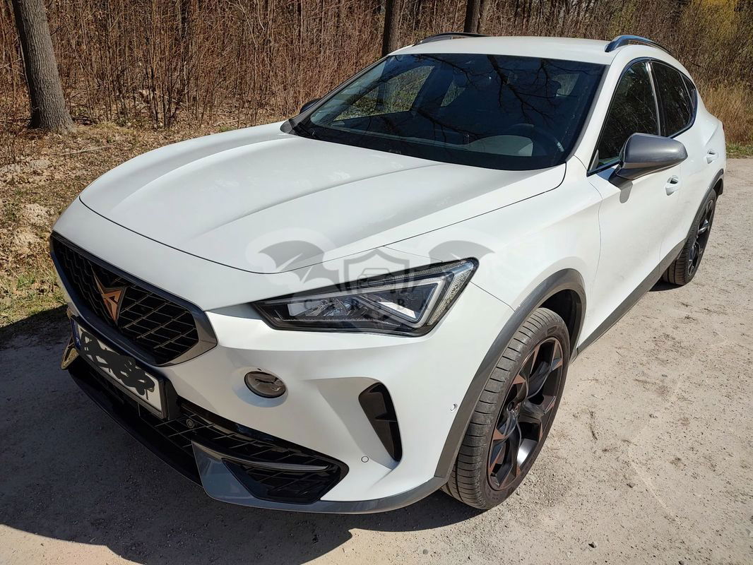 Cupra Formentor 1.5 TSI 2023