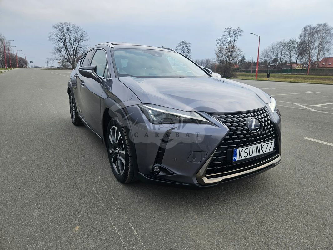 Lexus UX 250h F Sport AWD 2020