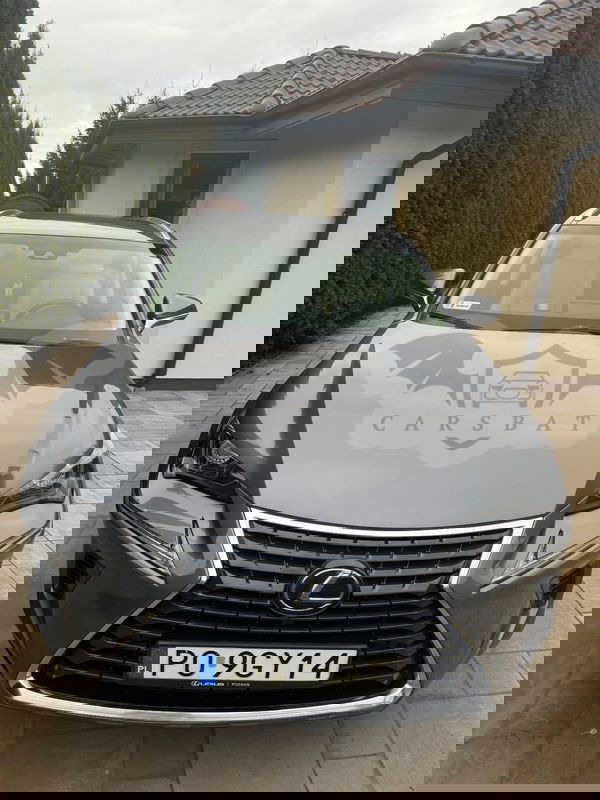 Lexus NX I 300h Comfort AWD 2017