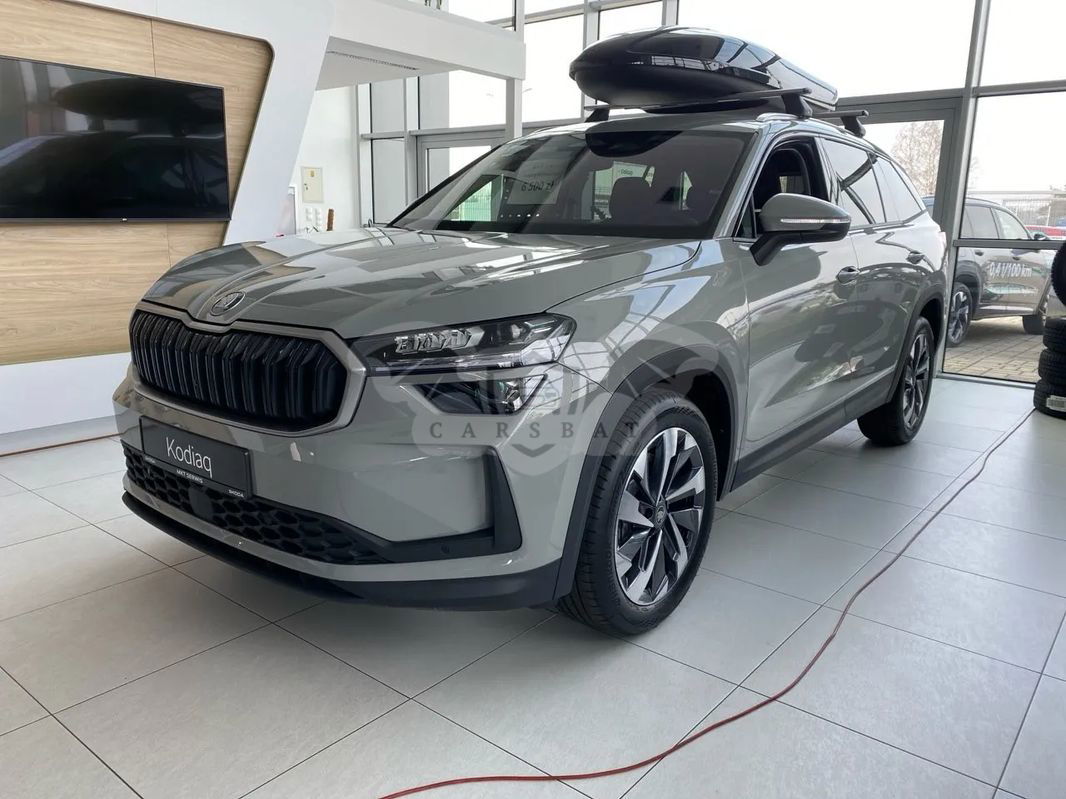 Skoda Kodiaq II 2.0 TDI 4x2 Selection DSG 2024