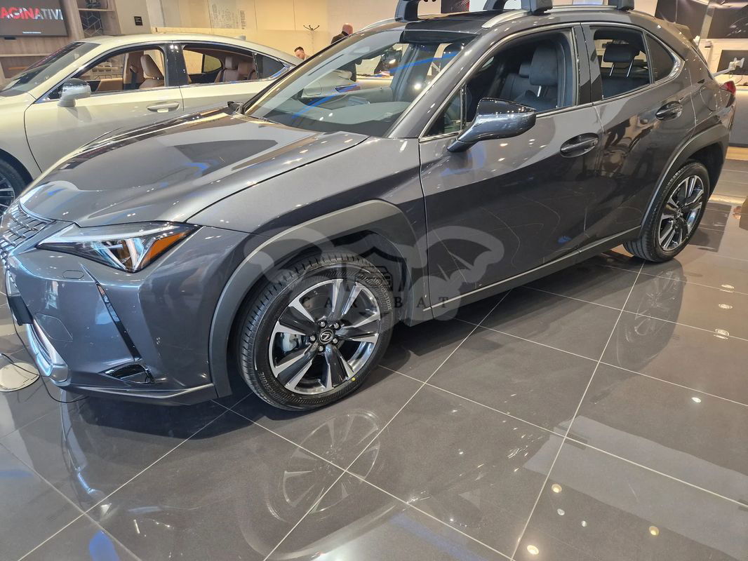 Lexus UX 300h Business 2024