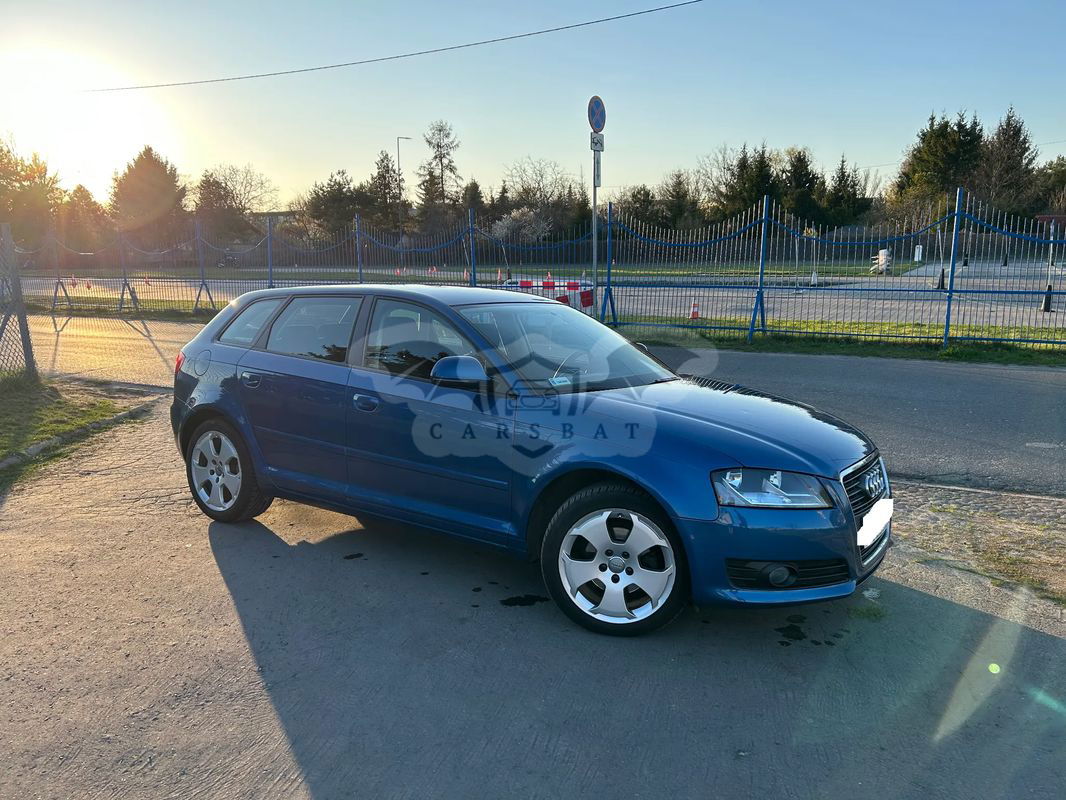 Audi A3 8P 1.9 TDI DPF Ambiente 2009