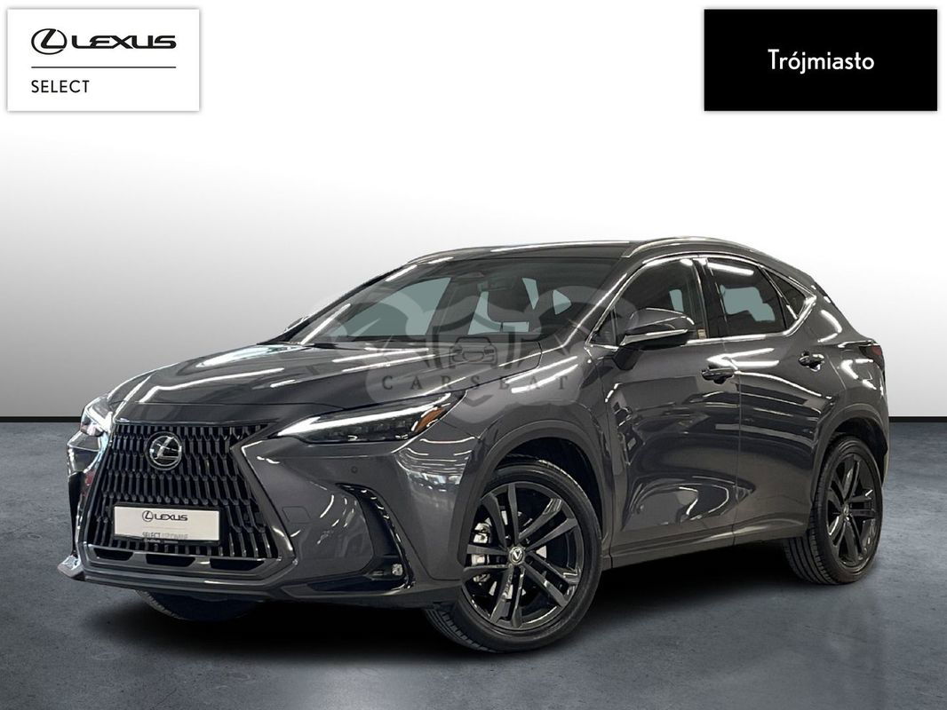Lexus NX II 2024