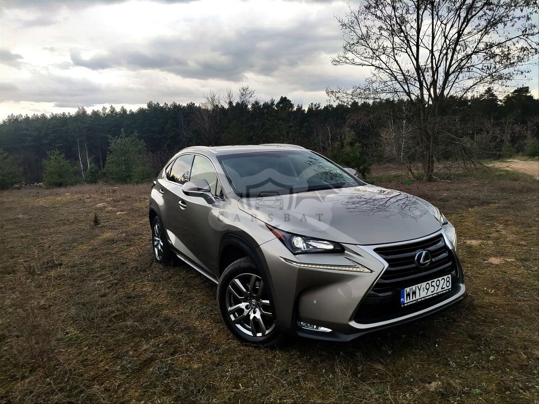 Lexus NX I 300h Comfort AWD 2015