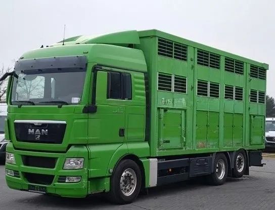 MAN TGX 2012